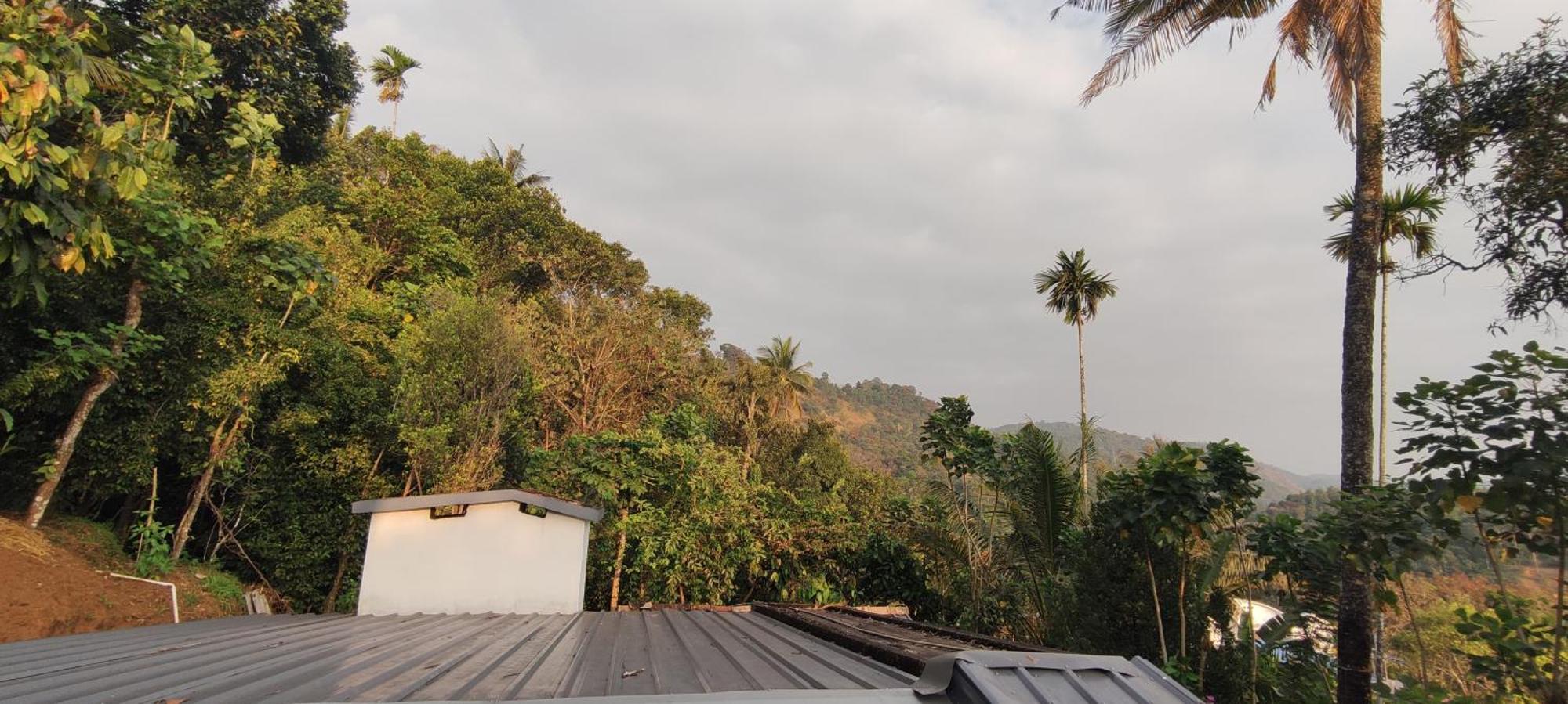 Koonamparayil Home Stay Munnar Anaviratty-Family Only Экстерьер фото