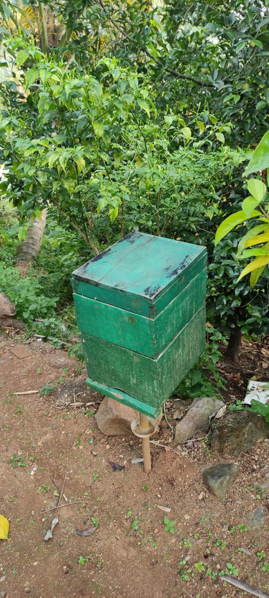 Koonamparayil Home Stay Munnar Anaviratty-Family Only Экстерьер фото