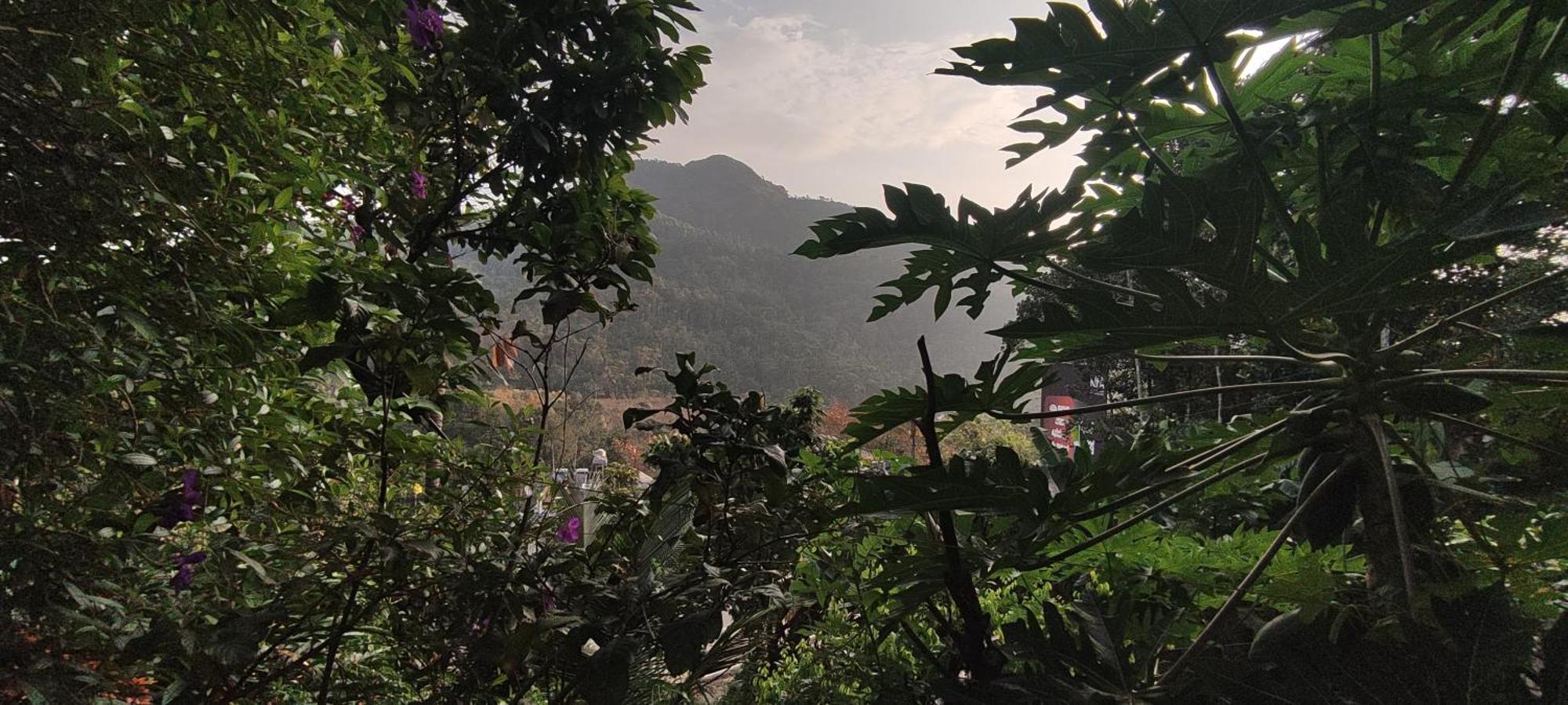 Koonamparayil Home Stay Munnar Anaviratty-Family Only Экстерьер фото