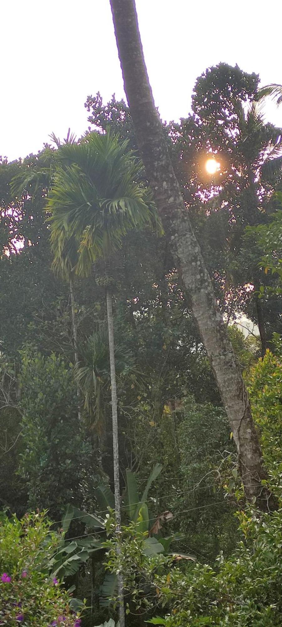 Koonamparayil Home Stay Munnar Anaviratty-Family Only Экстерьер фото