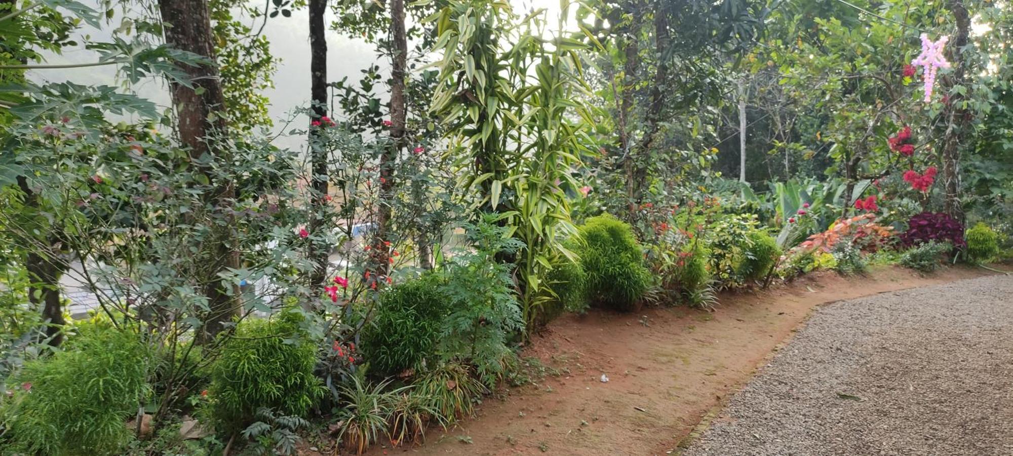 Koonamparayil Home Stay Munnar Anaviratty-Family Only Экстерьер фото