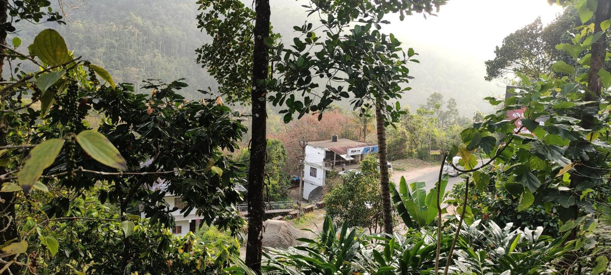 Koonamparayil Home Stay Munnar Anaviratty-Family Only Экстерьер фото